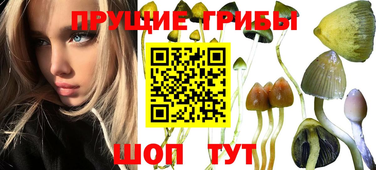 Галлюциногенные грибы Magic Shrooms Советский
