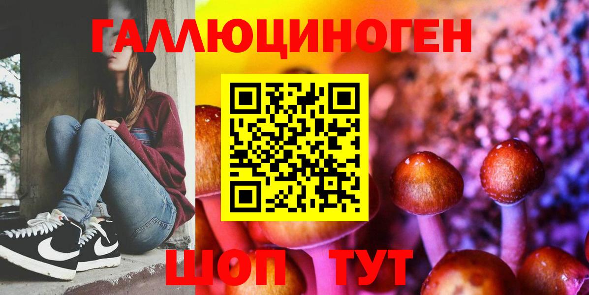 Советский  Галлюциногенные грибы Cubensis  Вход с VPN 