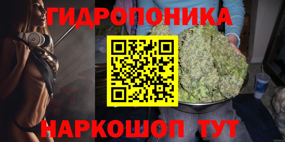 Бошки Шишки марихуана  Вход с VPN  Советский  Бошки Шишки VHQ 